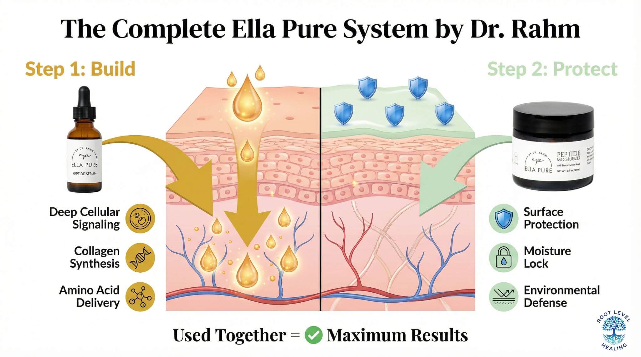 Diagram showing how the Ella Pure Peptide Serum and Peptide Moisturizer work together as a complete system for skin regeneration and protection