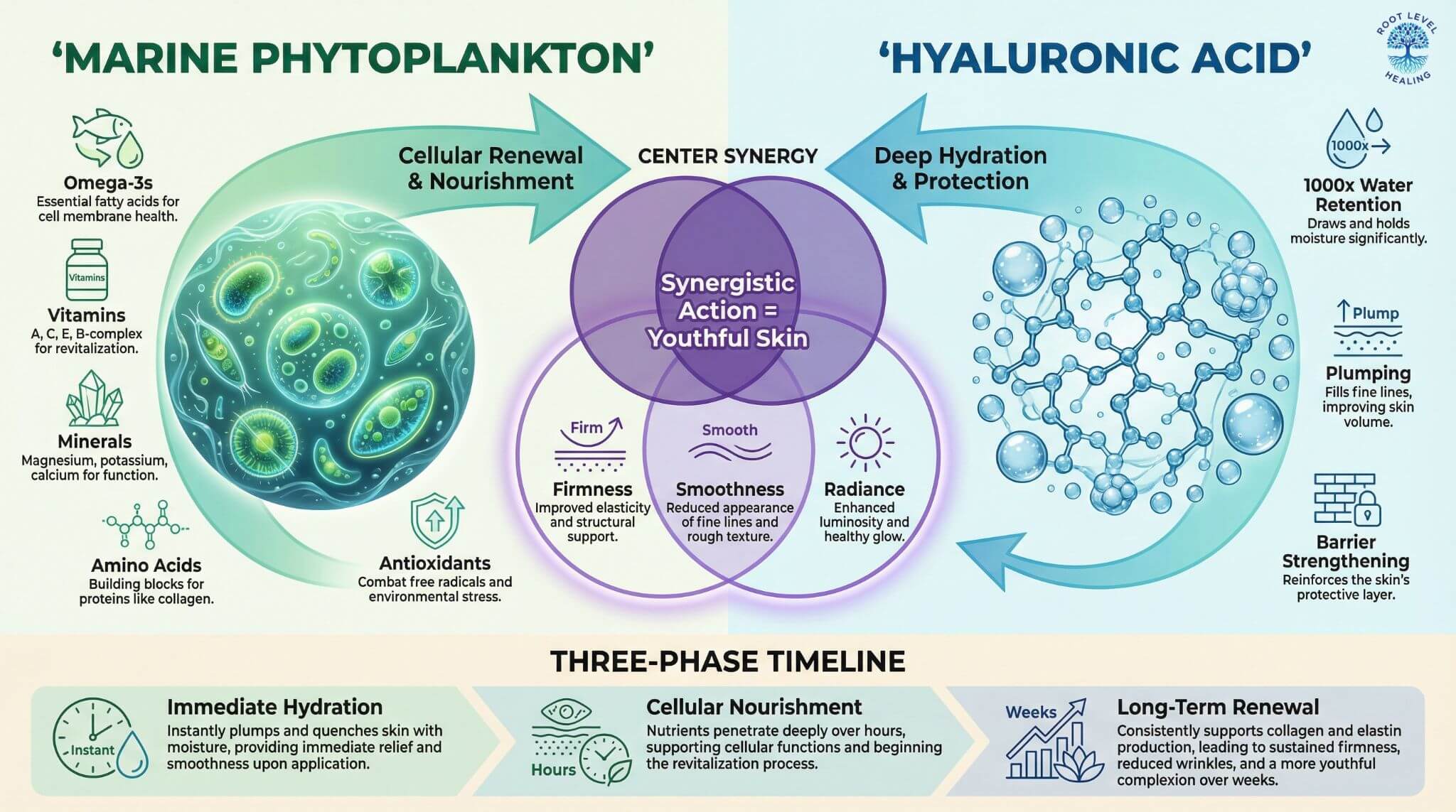 Infographic showing the synergistic action of marine phytoplankton and hyaluronic acid in Ella Pure Reno, with phytoplankton providing nutrients for cellular renewal and hyaluronic acid delivering deep hydration.