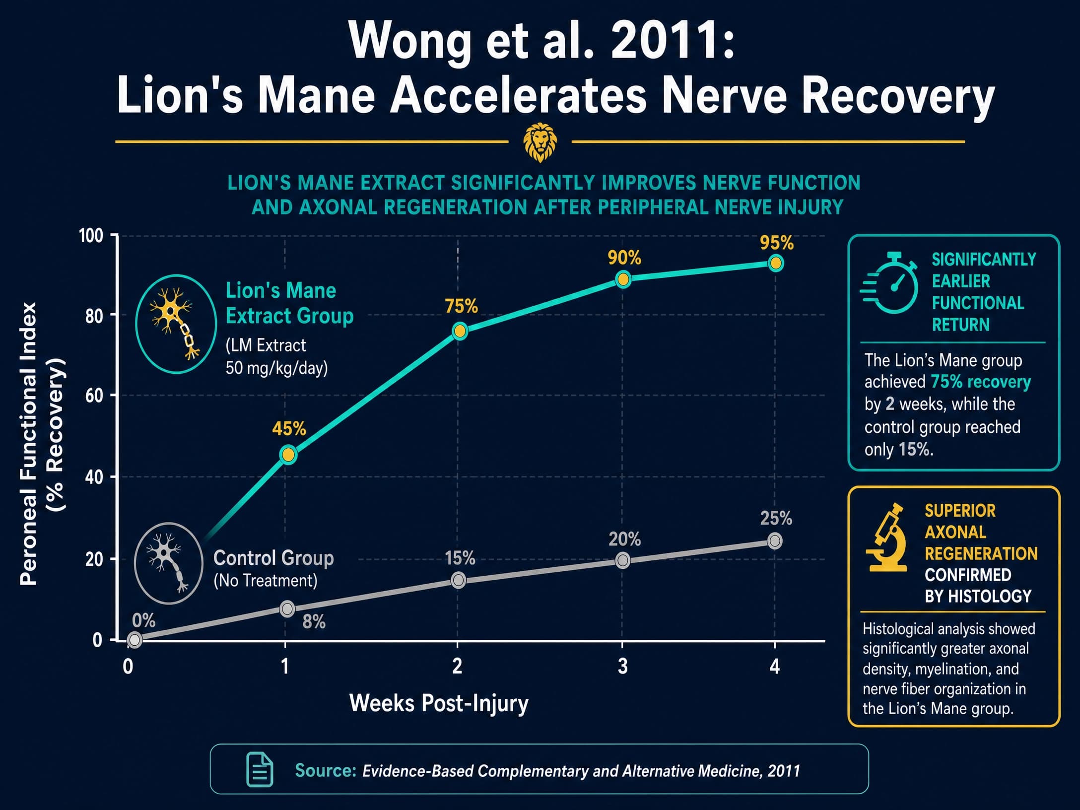 Graph illustrating the accelerated functional recovery timeline from the 2011 Wong crush injury study using Lion's Mane extract