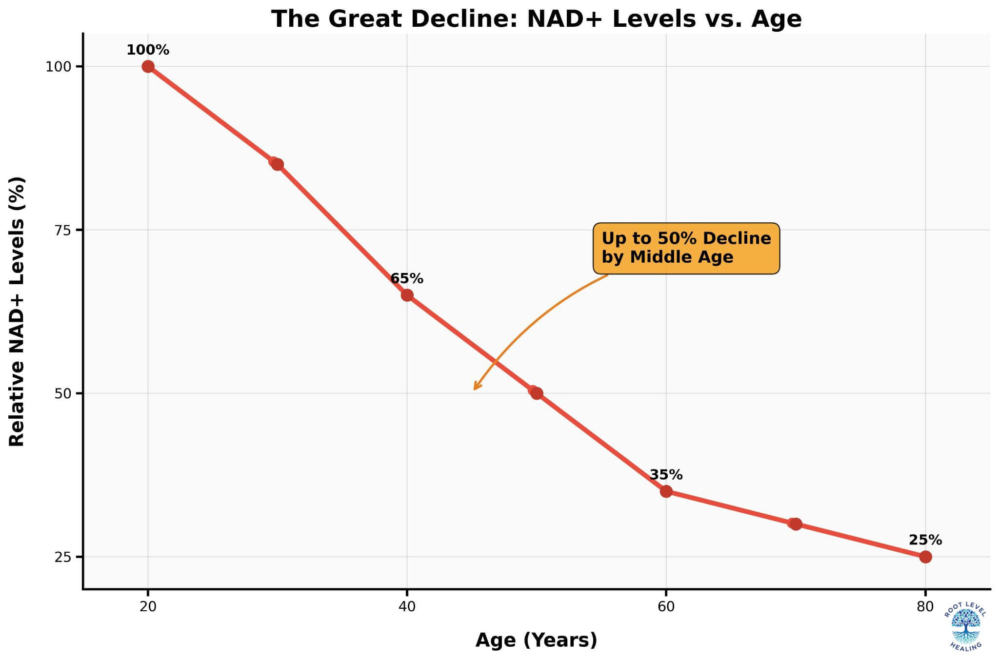 A line graph showing the steep decline of NAD+ levels with age, from high levels at age 20 to low levels at age 80.